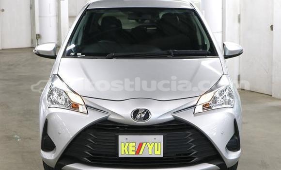 Buy Used Toyota Vitz Silver Car in Castries in Castries Buy Used Toyota Vitz Silver Car in Castries in Castries