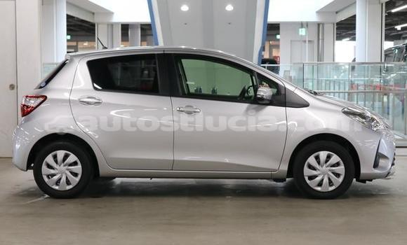 Buy Used Toyota Vitz Silver Car in Castries in Castries Buy Used Toyota Vitz Silver Car in Castries in Castries