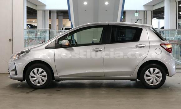 Buy Used Toyota Vitz Silver Car in Castries in Castries Buy Used Toyota Vitz Silver Car in Castries in Castries