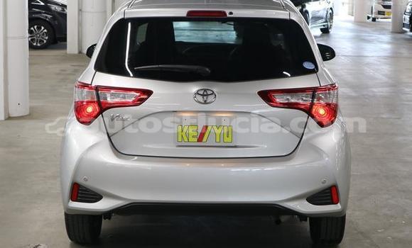 Buy Used Toyota Vitz Silver Car in Castries in Castries Buy Used Toyota Vitz Silver Car in Castries in Castries