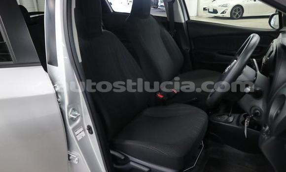 Buy Used Toyota Vitz Silver Car in Castries in Castries Buy Used Toyota Vitz Silver Car in Castries in Castries