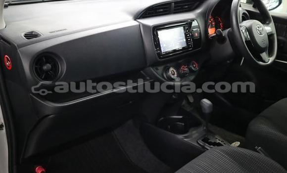 Buy Used Toyota Vitz Silver Car in Castries in Castries Buy Used Toyota Vitz Silver Car in Castries in Castries