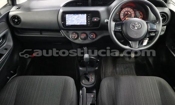 Buy Used Toyota Vitz Silver Car in Castries in Castries Buy Used Toyota Vitz Silver Car in Castries in Castries
