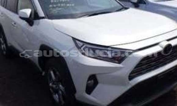 Buy Used Toyota RAV4 White Car in Castries in Castries