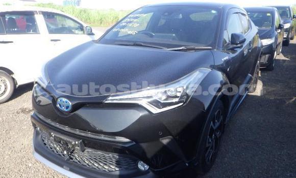 Buy Used Toyota C-HR Black Car in Castries in Castries