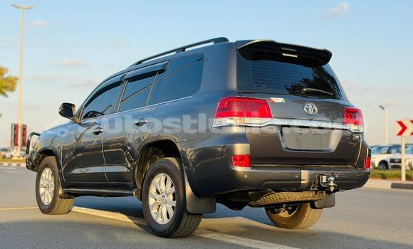 Buy Import Toyota Land Cruiser Other Car in Import - Dubai in Anse-la-Raye Buy Import Toyota Land Cruiser Other Car in Import - Dubai in Anse-la-Raye