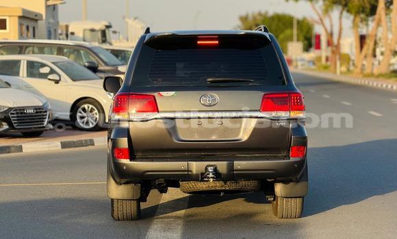 Buy Import Toyota Land Cruiser Other Car in Import - Dubai in Anse-la-Raye Buy Import Toyota Land Cruiser Other Car in Import - Dubai in Anse-la-Raye