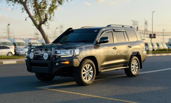 Buy Import Toyota Land Cruiser Other Car in Import - Dubai in Anse-la-Raye Buy Import Toyota Land Cruiser Other Car in Import - Dubai in Anse-la-Raye