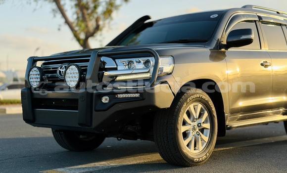 Buy Import Toyota Land Cruiser Other Car in Import - Dubai in Anse-la-Raye Buy Import Toyota Land Cruiser Other Car in Import - Dubai in Anse-la-Raye