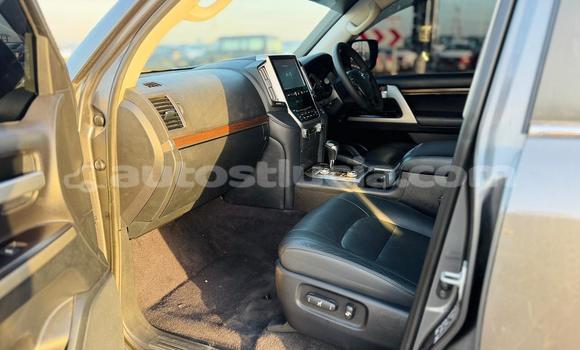 Buy Import Toyota Land Cruiser Other Car in Import - Dubai in Anse-la-Raye Buy Import Toyota Land Cruiser Other Car in Import - Dubai in Anse-la-Raye