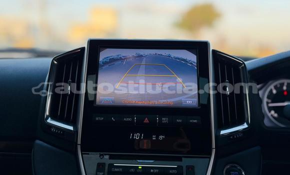 Buy Import Toyota Land Cruiser Other Car in Import - Dubai in Anse-la-Raye Buy Import Toyota Land Cruiser Other Car in Import - Dubai in Anse-la-Raye