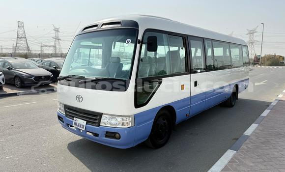 Buy Import Toyota Coaster White Car in Import - Dubai in Anse-la-Raye