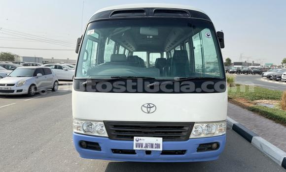 Buy Import Toyota Coaster White Car in Import - Dubai in Anse-la-Raye Buy Import Toyota Coaster White Car in Import - Dubai in Anse-la-Raye