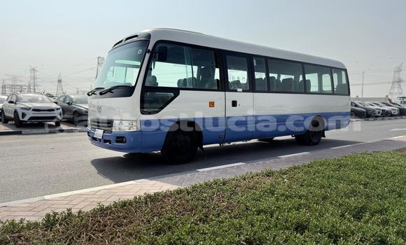 Buy Import Toyota Coaster White Car in Import - Dubai in Anse-la-Raye Buy Import Toyota Coaster White Car in Import - Dubai in Anse-la-Raye