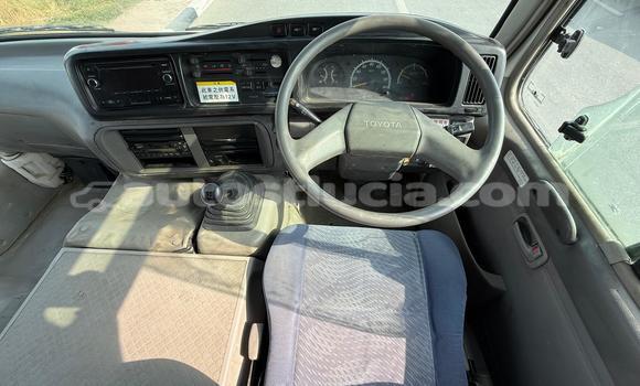 Buy Import Toyota Coaster White Car in Import - Dubai in Anse-la-Raye Buy Import Toyota Coaster White Car in Import - Dubai in Anse-la-Raye