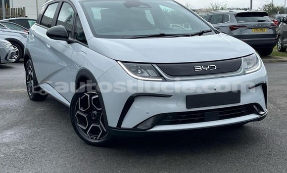 Buy Used BYD E6 White Car in Import - Dubai in Anse-la-Raye