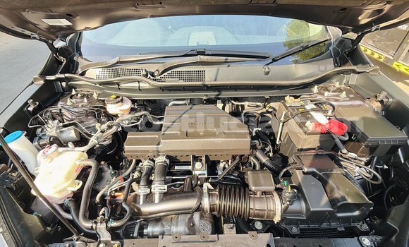 Acheter Occasion Voiture Honda CR–V Autre à Import - Dubai, Anse-la-Raye Acheter Occasion Voiture Honda CR–V Autre à Import - Dubai, Anse-la-Raye