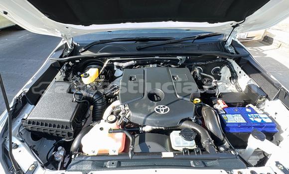 Acheter Occasion Voiture Toyota Hilux Blanc à Import - Dubai, Anse-la-Raye Acheter Occasion Voiture Toyota Hilux Blanc à Import - Dubai, Anse-la-Raye