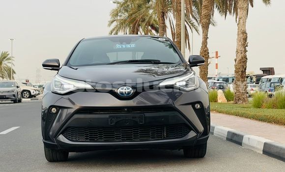 Acheter Occasion Voiture Toyota C-HR Autre à Import - Dubai, Anse-la-Raye