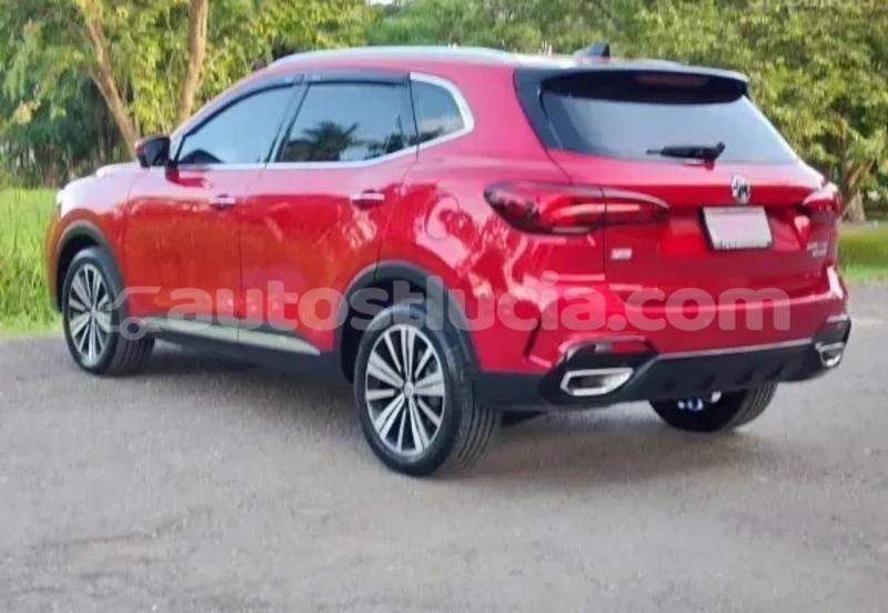 Big with watermark mg zs canaries canaries 4424