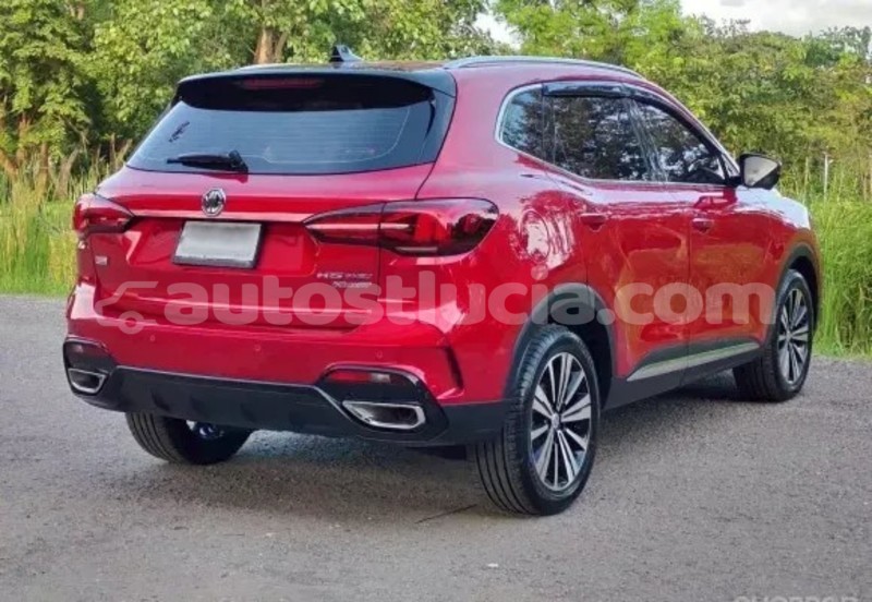 Big with watermark mg zs canaries canaries 4424