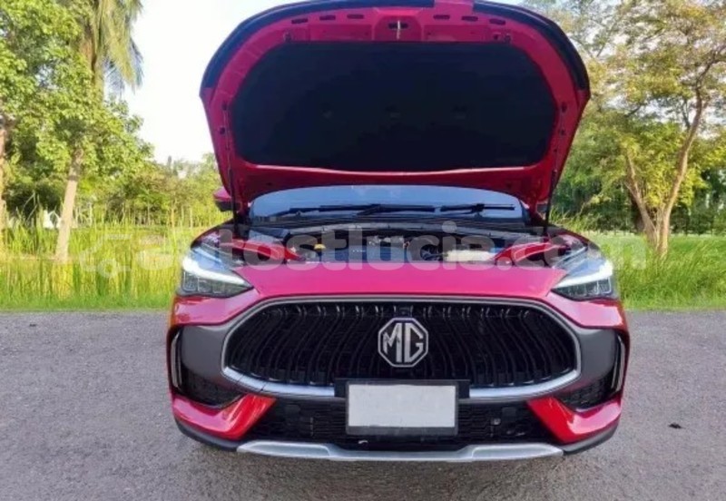 Big with watermark mg zs canaries canaries 4424