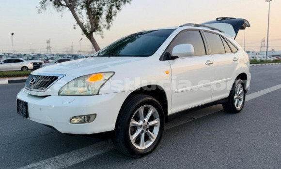 Acheter Occasion Voiture Lexus RX 350 Blanc à Import - Dubai, Anse-la-Raye Acheter Occasion Voiture Lexus RX 350 Blanc à Import - Dubai, Anse-la-Raye