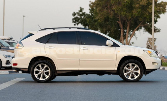 Acheter Occasion Voiture Lexus RX 350 Blanc à Import - Dubai, Anse-la-Raye Acheter Occasion Voiture Lexus RX 350 Blanc à Import - Dubai, Anse-la-Raye