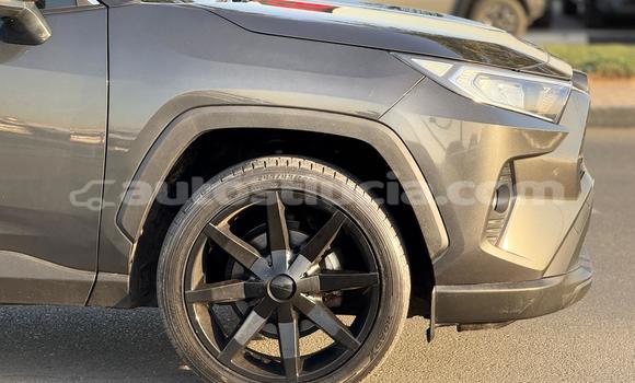 Acheter Occasion Voiture Toyota RAV4 Autre à Import - Dubai, Anse-la-Raye Acheter Occasion Voiture Toyota RAV4 Autre à Import - Dubai, Anse-la-Raye