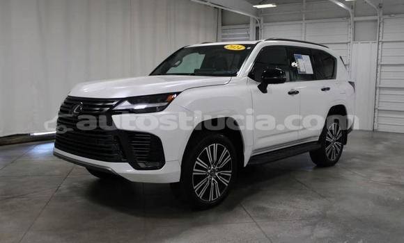 Buy Used Lexus LX White Car in Choc in Castries Buy Used Lexus LX White Car in Choc in Castries