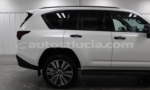 Buy Used Lexus LX White Car in Choc in Castries Buy Used Lexus LX White Car in Choc in Castries