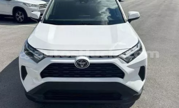 Buy Used Toyota RAV4 White Car in Canaries in Canaries