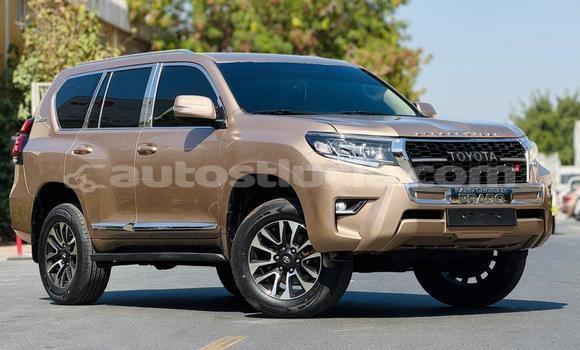 Buy Used Toyota Prado Other Car in Import - Dubai in Anse-la-Raye