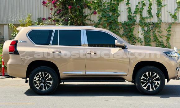 Buy Used Toyota Prado Other Car in Import - Dubai in Anse-la-Raye Buy Used Toyota Prado Other Car in Import - Dubai in Anse-la-Raye