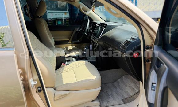 Buy Used Toyota Prado Other Car in Import - Dubai in Anse-la-Raye Buy Used Toyota Prado Other Car in Import - Dubai in Anse-la-Raye