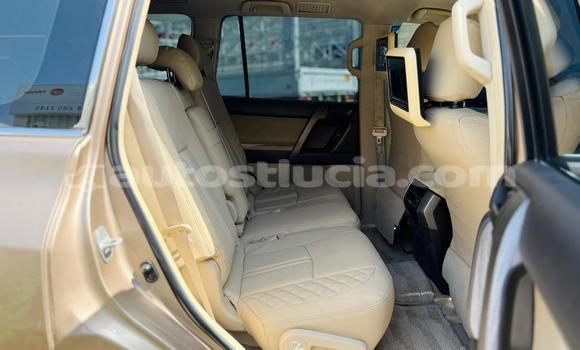 Buy Used Toyota Prado Other Car in Import - Dubai in Anse-la-Raye Buy Used Toyota Prado Other Car in Import - Dubai in Anse-la-Raye