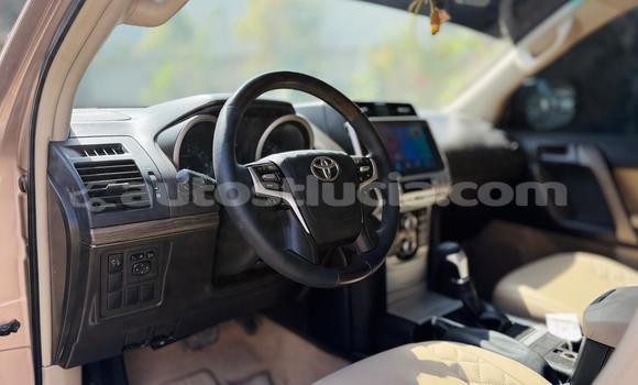 Buy Used Toyota Prado Other Car in Import - Dubai in Anse-la-Raye Buy Used Toyota Prado Other Car in Import - Dubai in Anse-la-Raye