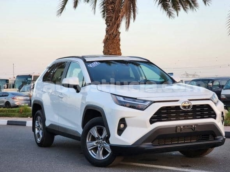 Big with watermark toyota rav4 canaries canaries 4461