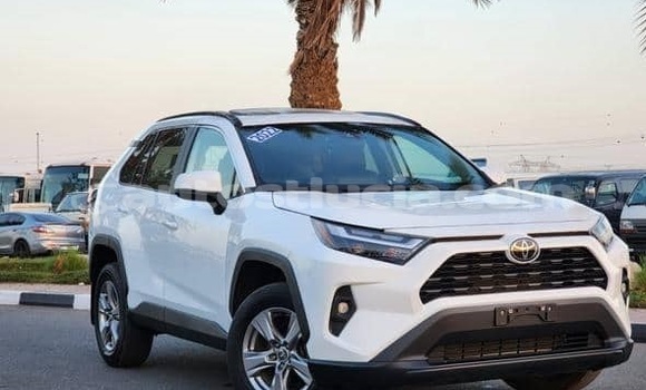Buy Used Toyota RAV4 White Car in Canaries in Canaries