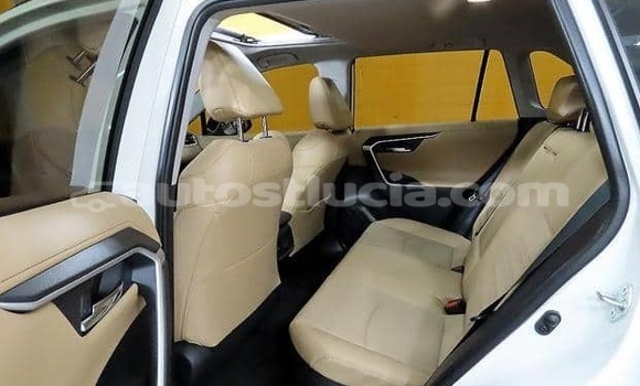 Buy Used Toyota RAV4 White Car in Canaries in Canaries Buy Used Toyota RAV4 White Car in Canaries in Canaries