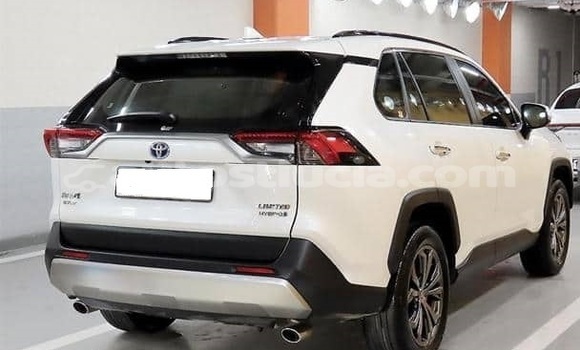 Buy Used Toyota RAV4 White Car in Canaries in Canaries Buy Used Toyota RAV4 White Car in Canaries in Canaries