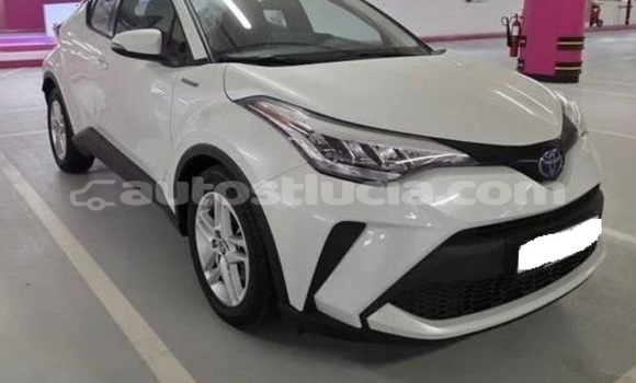 Buy Used Toyota C-HR White Car in Castries in Castries