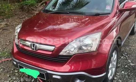 Buy Used Honda FIT Other Car in Choc in Castries