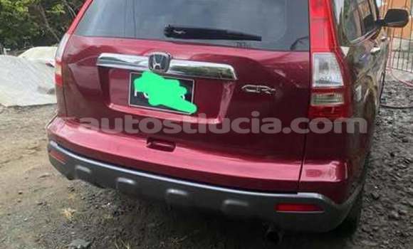 Buy Used Honda FIT Other Car in Choc in Castries Buy Used Honda FIT Other Car in Choc in Castries