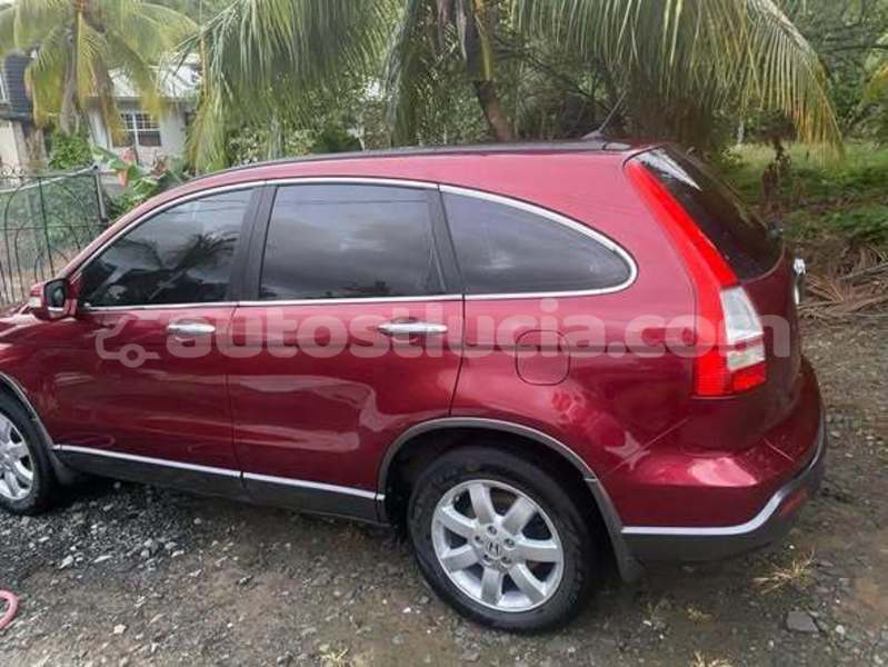 Big with watermark honda fit castries choc 4467