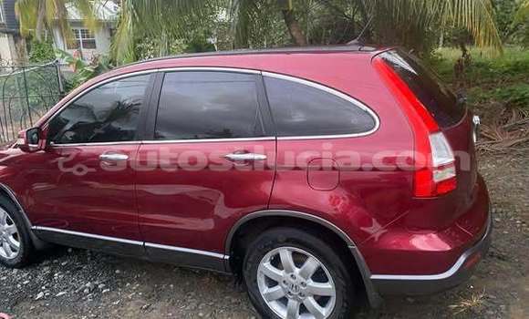 Buy Used Honda FIT Other Car in Choc in Castries Buy Used Honda FIT Other Car in Choc in Castries