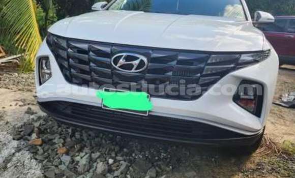 Buy Used Hyundai Tucson Other Car in Castries in Castries