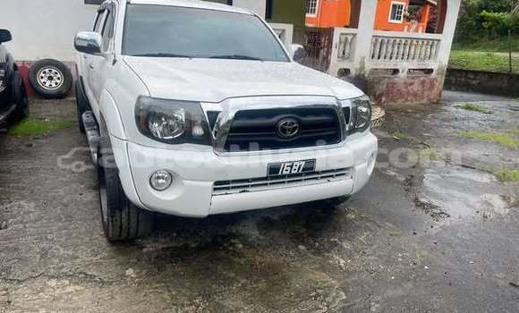 Buy Used Toyota Tacoma Other Car in Choiseul in Choiseul