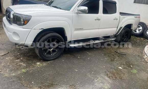 Buy Used Toyota Tacoma Other Car in Choiseul in Choiseul Buy Used Toyota Tacoma Other Car in Choiseul in Choiseul