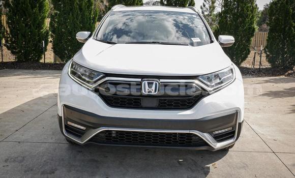 Buy Used Honda CR–V White Car in Canaries in Canaries Buy Used Honda CR–V White Car in Canaries in Canaries
